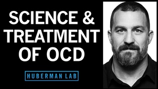 The Science & Treatment of Obsessive Compulsive Disorder (OCD) | Huberman Lab Podcast #78