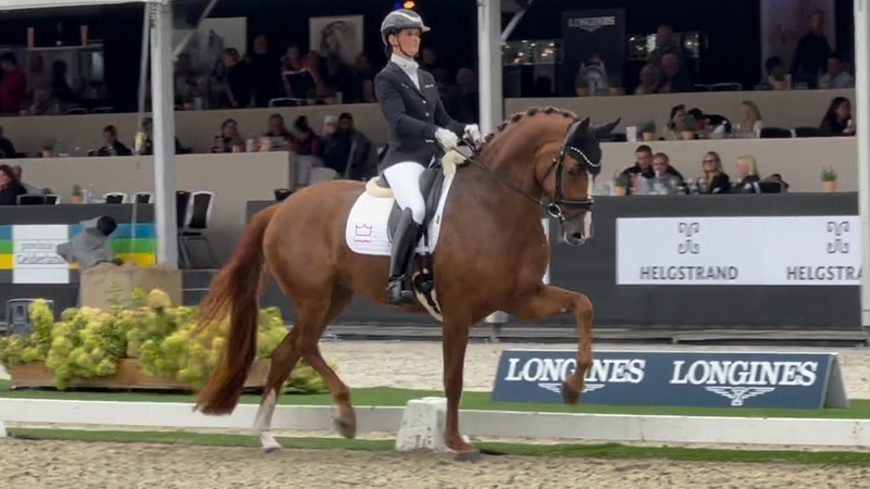 Quinn G. ( Quaterhit x Fassbinder) for Denmark scores and wins the 5yo final at