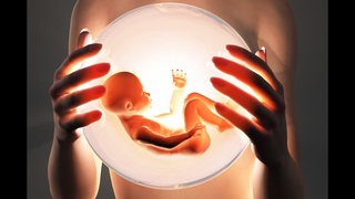 Есть ли душа у ЭКО детей / Do IVF children have a soul