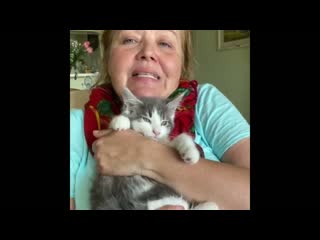 Знакомьтесь самые большие домашние коты! #удивительныеистории
