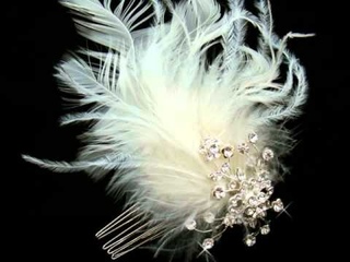 Wedding Hair Accessories & Feathers for Your Hair  from
