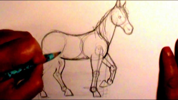 How to draw a horse body (contest is