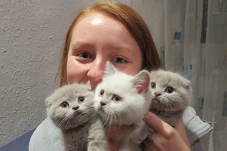 Для любителей КОТЯТ!