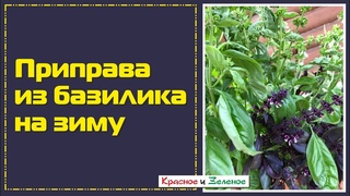 Приправа из свежего базилика на зиму. Вкусовая бомба!