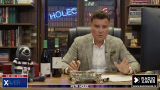Pavel už je zase guma Pávek, blázen Hašek do Senátu a jezdi károu jako Hřib | Petr Holec #138