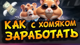 ХОМЯК ПЛАТИТ ! БЫСТРАЯ ПРОКАЧКА ХАМСТЕР КОМБАТ / Как заработать в Hamster Kombat и Вывести деньги