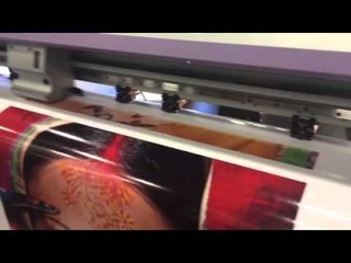 Mimaki CJV30 ES3 replacement inks by STS INKS