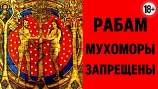 ВСЯ ПРАВДА ПРО микродозинг. Почему мухоморы ЗАПРЕЩЕНЫ РАБАМ Павел Дмитриев (18+)