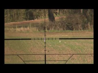 Weihrauch HW 100 .177 Выстрел на 100 метров.