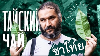 Чаиные регионы Таиланда. Начало Moychay Tea Forest Project
