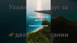 Ухаживайте друг за другомдалее в описании