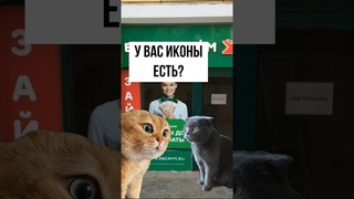Котик берет в долг #мемныекоты #мяумяу #приколы #смех #мем #shorts