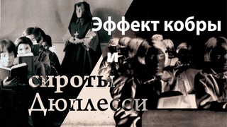 Эффект кобры и скандал с сиротами Дюплесси