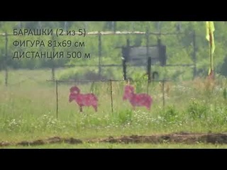Силуэтная стрельба Bigbore 500