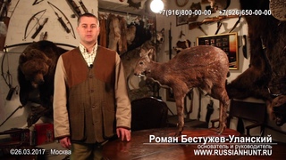Мускус кабарги свойства, цена, лечебные свойства. Лечение моче-половой системы мужчин и женщин.