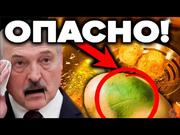 КТО И ЗАЧЕМ НАС ЗАСТАВИЛ ЕСТЬ КАРТОФЕЛЬ 5 причин