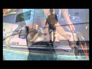 Курс Open Water Diver
