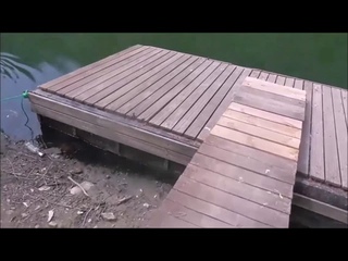 По берегам Вислы в Варшаве №2 Из чащобы на пляжи    From the thickets to the beaches