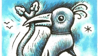 “SHOE BIRD“ by Bob Schneider