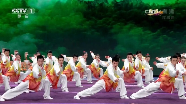 Wushu Performance 2017 CCTV Spring Festival