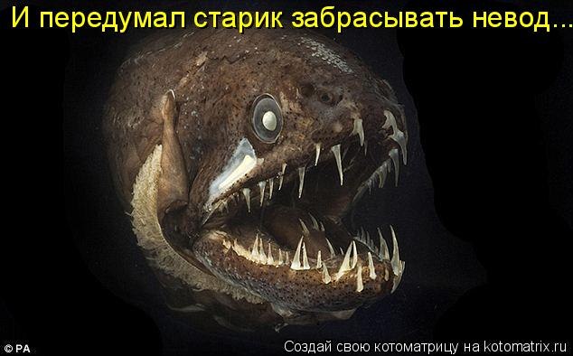 Наталья Усова | Москва