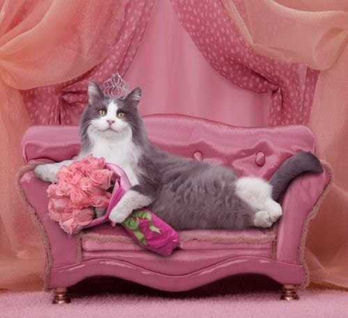 Наталия Черепий | Кривой Рог