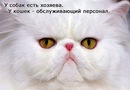 Нина Михайлова, Луга, Россия, 22.04