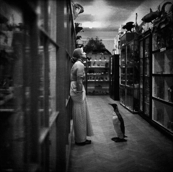 Anna Yakushkina | Санкт-Петербург