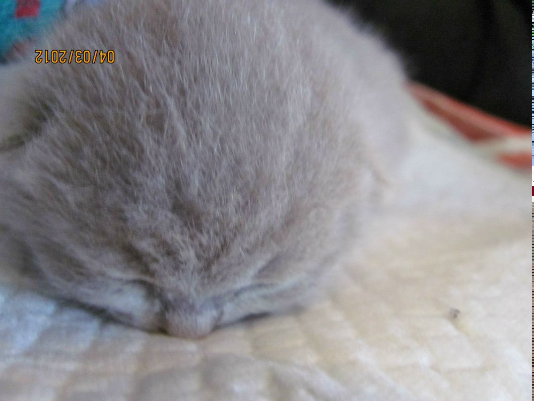 Игорь Илюхин | Калининград