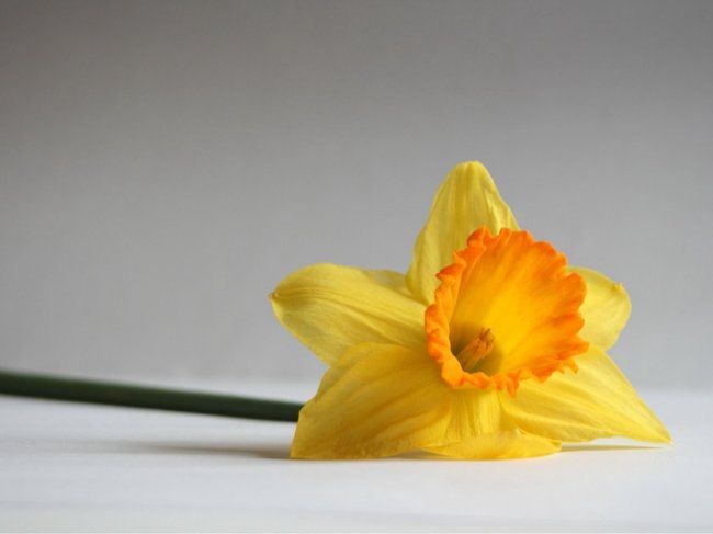 Наргис Наврузова | Москва