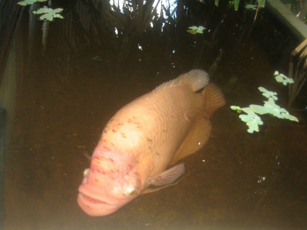 Илья Пруцков | Москва