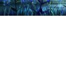 №72, Валюша Боровская, Житомир №72, Валюша Боровская, Житомир