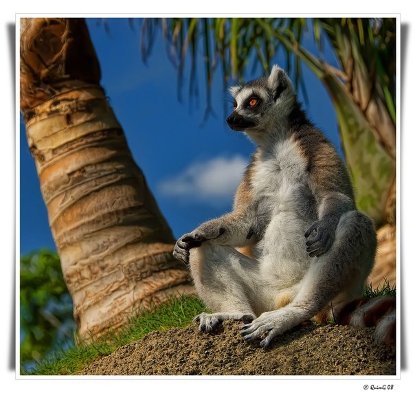 Дима Рязанов 