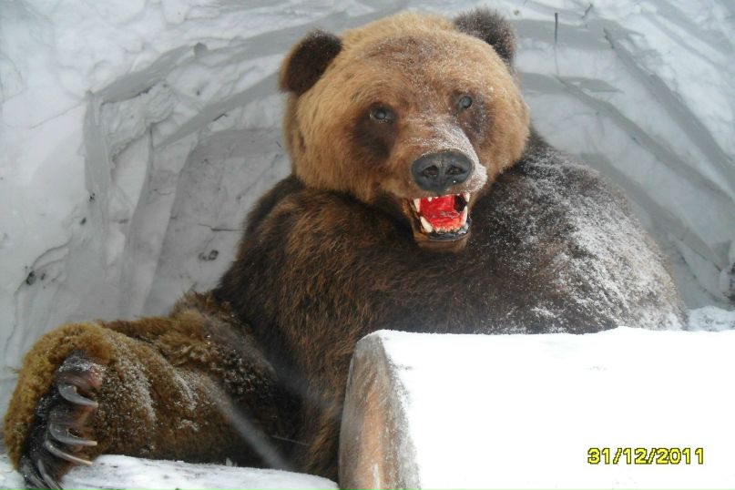 Алексей Литвинов | Новосибирск