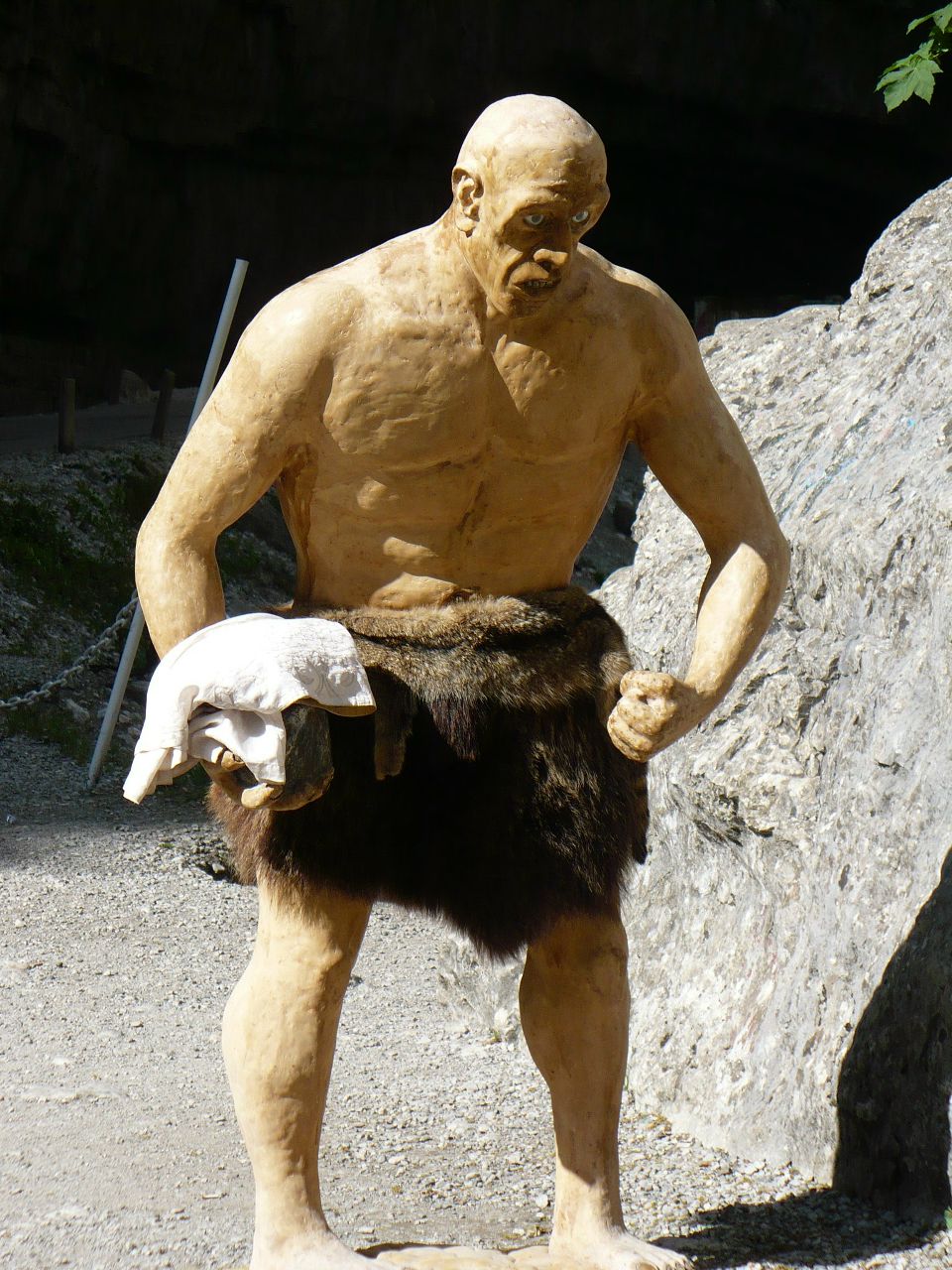 Дмитрий Фредрих | Тольятти