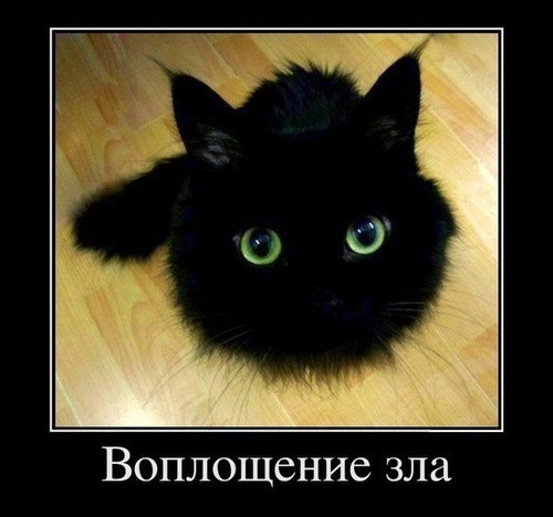 №5, Маріанна Залога, 31 год №5, Маріанна Залога, 31 год