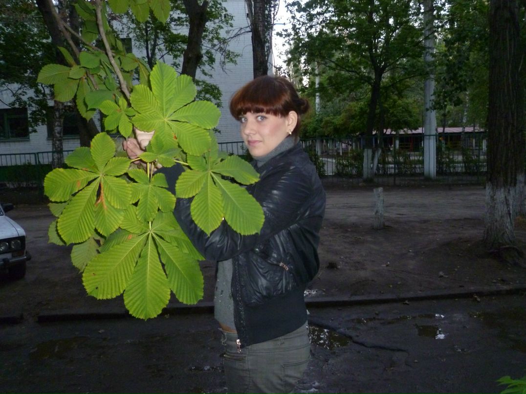 Маринэ Плотникова | Воронеж