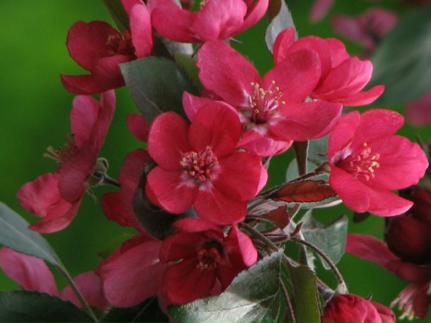 №57, Ленуся Родик, 42 года, Киев №57, Ленуся Родик, 42 года, Киев