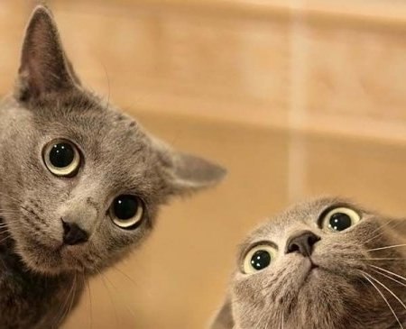 Кристина Олейникова | Санкт-Петербург