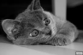 Кристина Олейникова | Санкт-Петербург