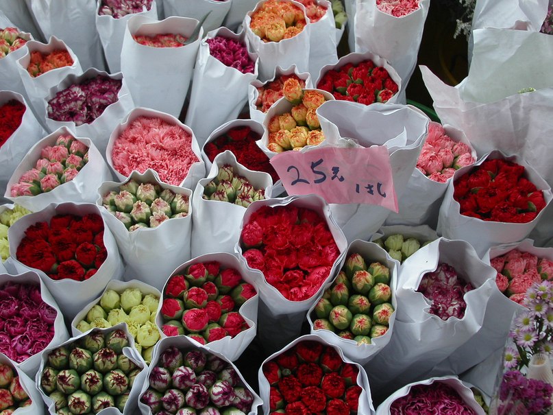 Тамила Ашукова | 