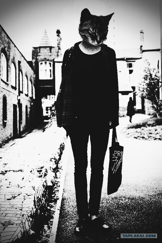 Алина Привалихина | Великий Новгород