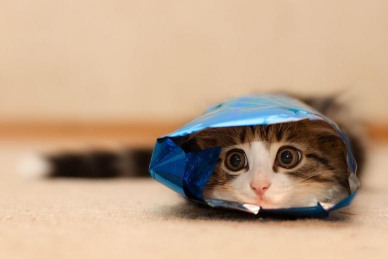 Алексей Boss | Новосибирск