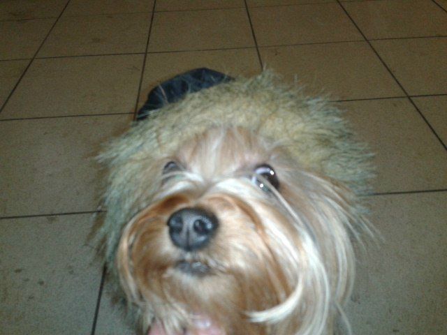 №13, Pavel Andrienko, 44 года, Санкт-Петербург №13, Pavel Andrienko, 44 года, Санкт-Петербург