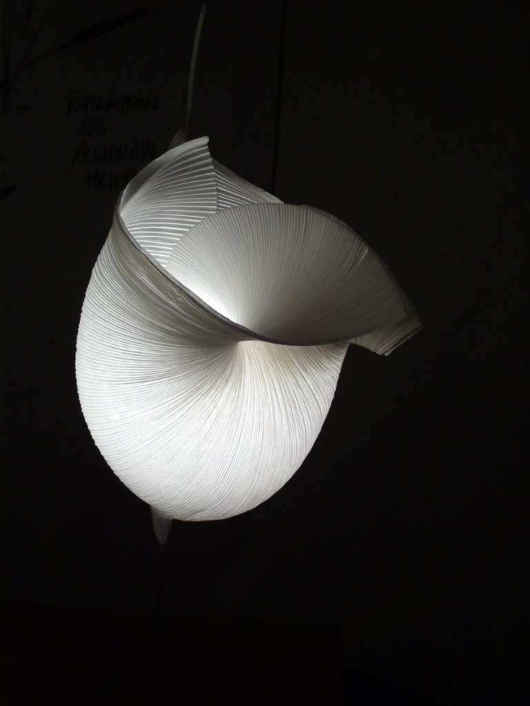 Виктория Кричун | Regensburg