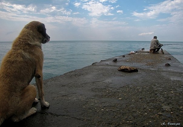 Олечка Лустина | 