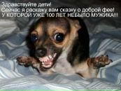 Фотография Светлана Морозова
