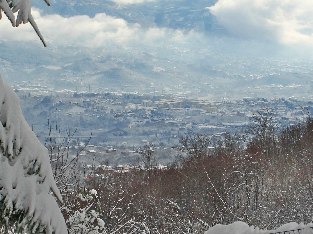 Alina Makarova | Харьков