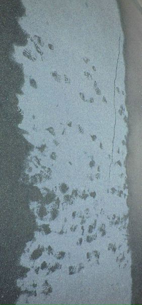 №47, Елена Роменкова №47, Елена Роменкова