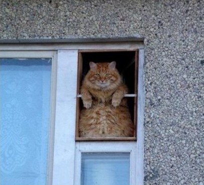 Оксана Шаповалова Oksy | Ульяновск